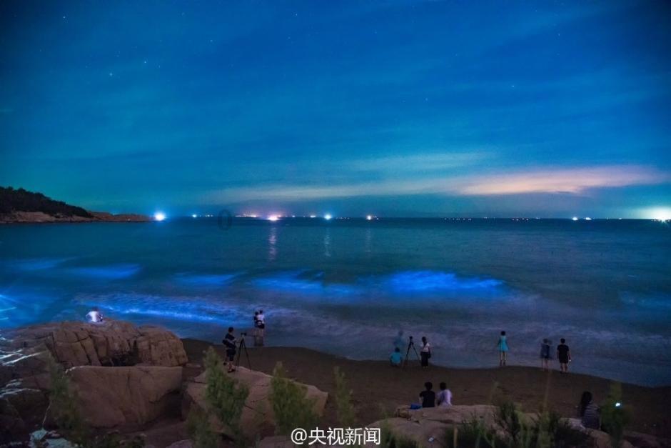 企业为什么要有会计