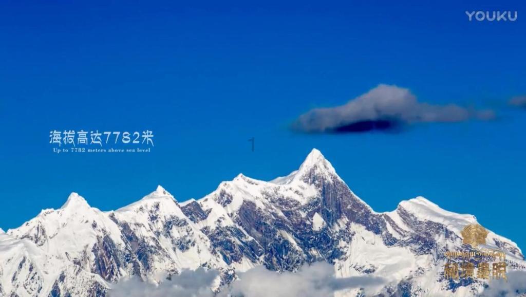 探索2023全国中学生英语能力竞赛官网,解决你的疑惑