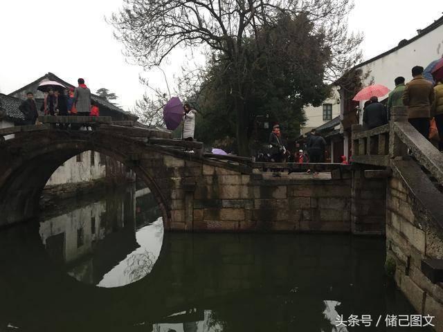飞扬的方块鸟